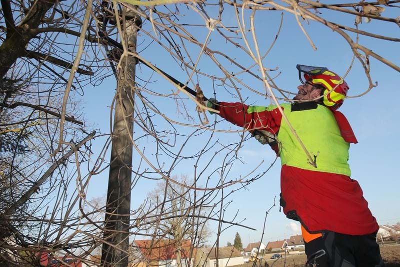 Spezialfirmen wie der Forstservice Haid aus Haldenwang sind im Auftrag von LVN von Herbst bis Ende März im gesamten Netzgebiet unterwegs, um Bäume und Sträucher zurückzuschneiden.